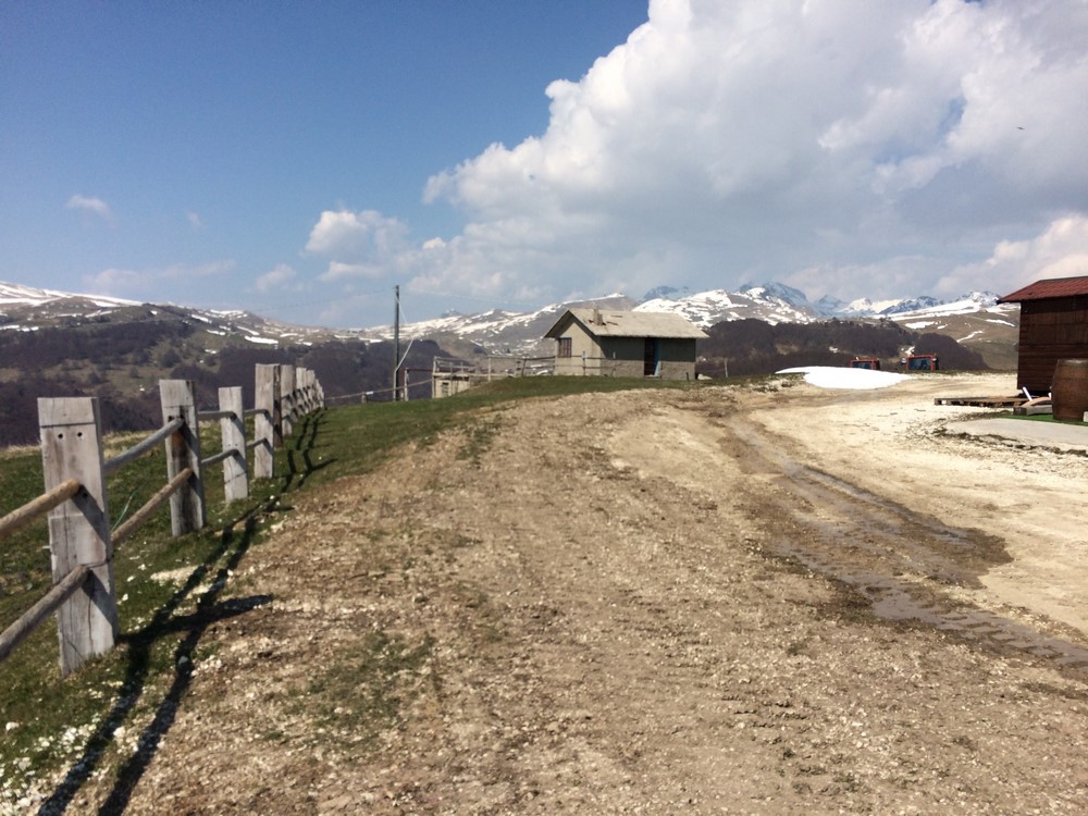 Quattro Passi ..... e non solo - Panorama Rifugio Dosso Alto.JPG