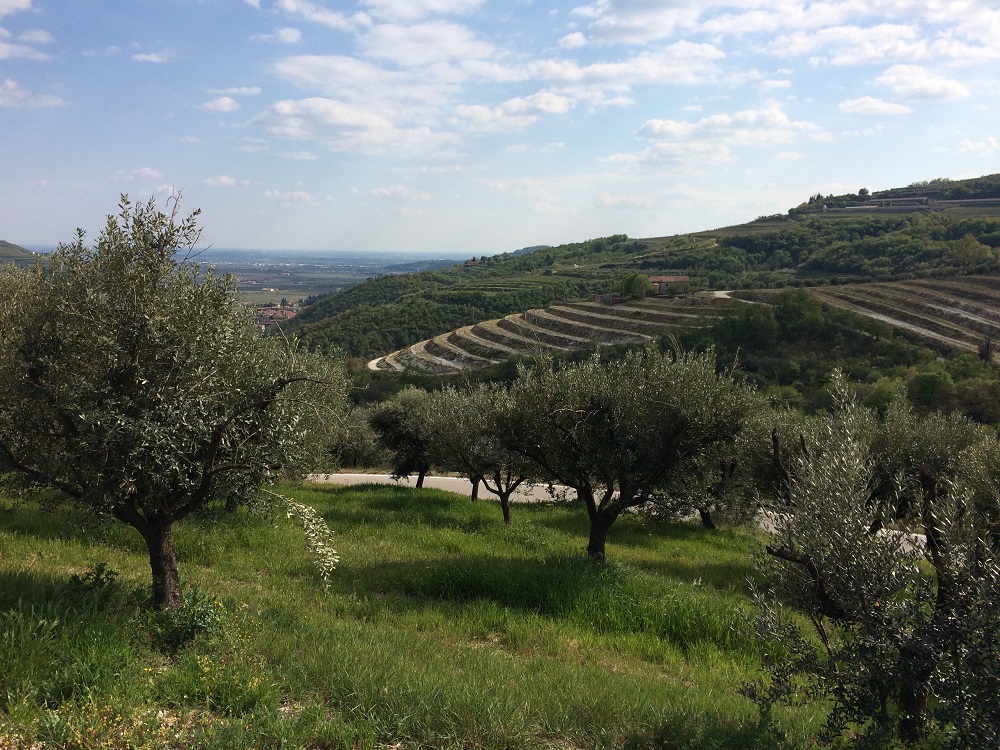 Giro delle cinque valli - Panorama4.JPG